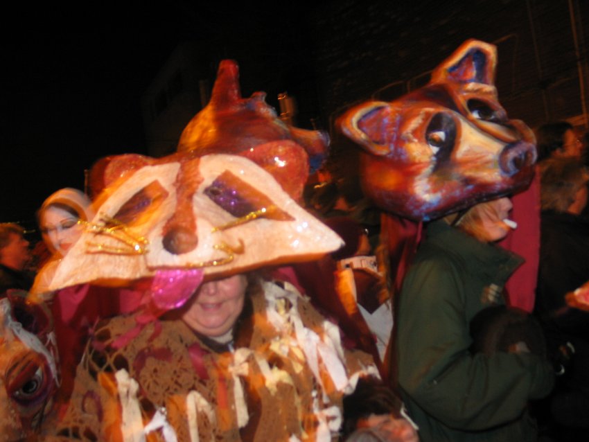 Raccoons pic